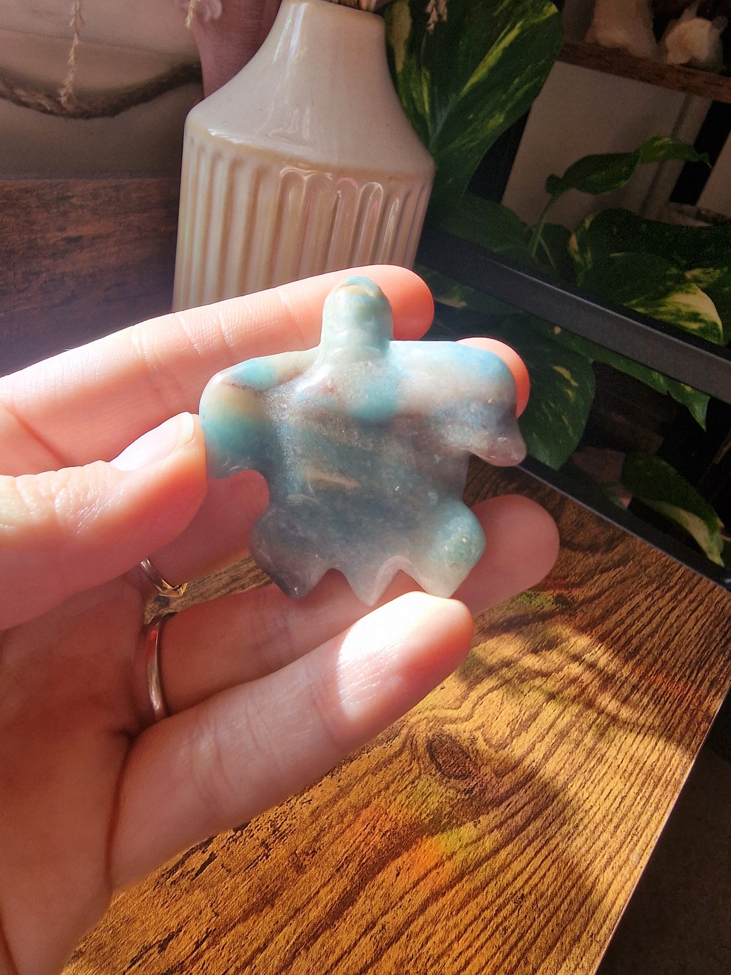 Caribbean Calcite Turtle (~5cm)