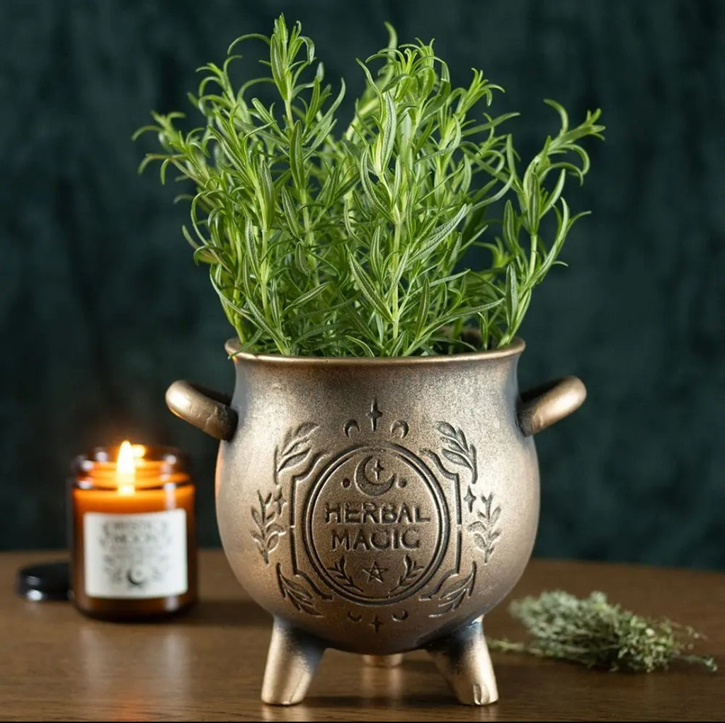 Decorative Plant Pots