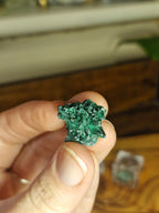 Velvet Malachite in Display Box