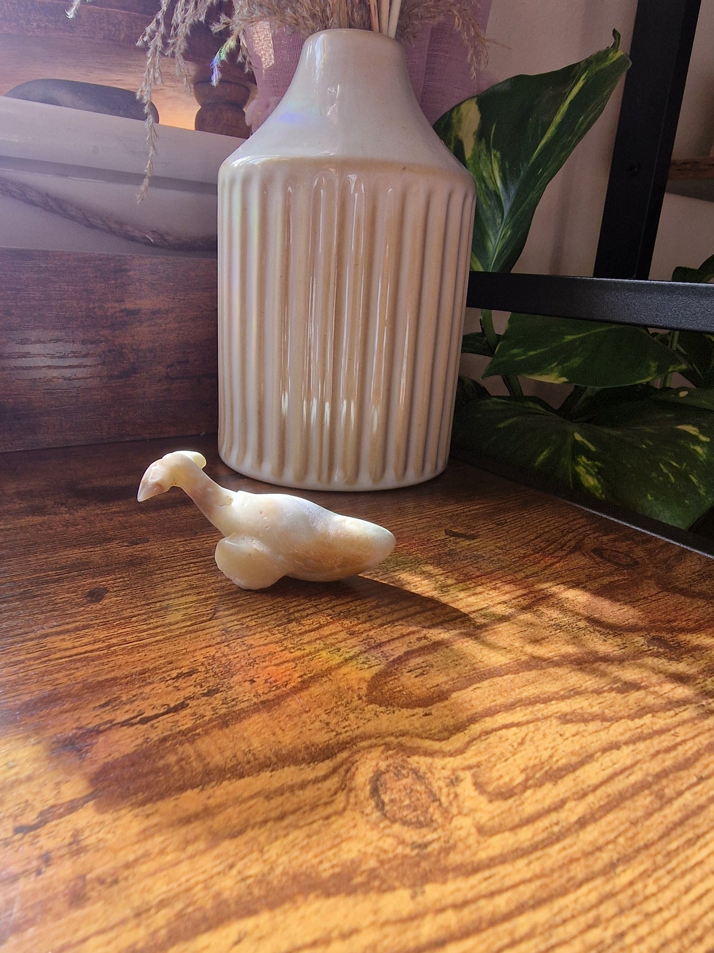 Caribbean Calcite Whale (~7cm)