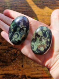 Kambaba Jasper Palm Stone | Intuitively Chosen