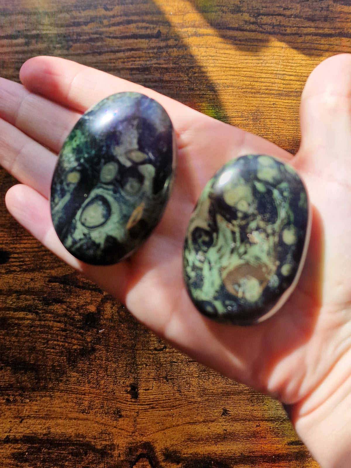 Kambaba Jasper Palm Stone | Intuitively Chosen