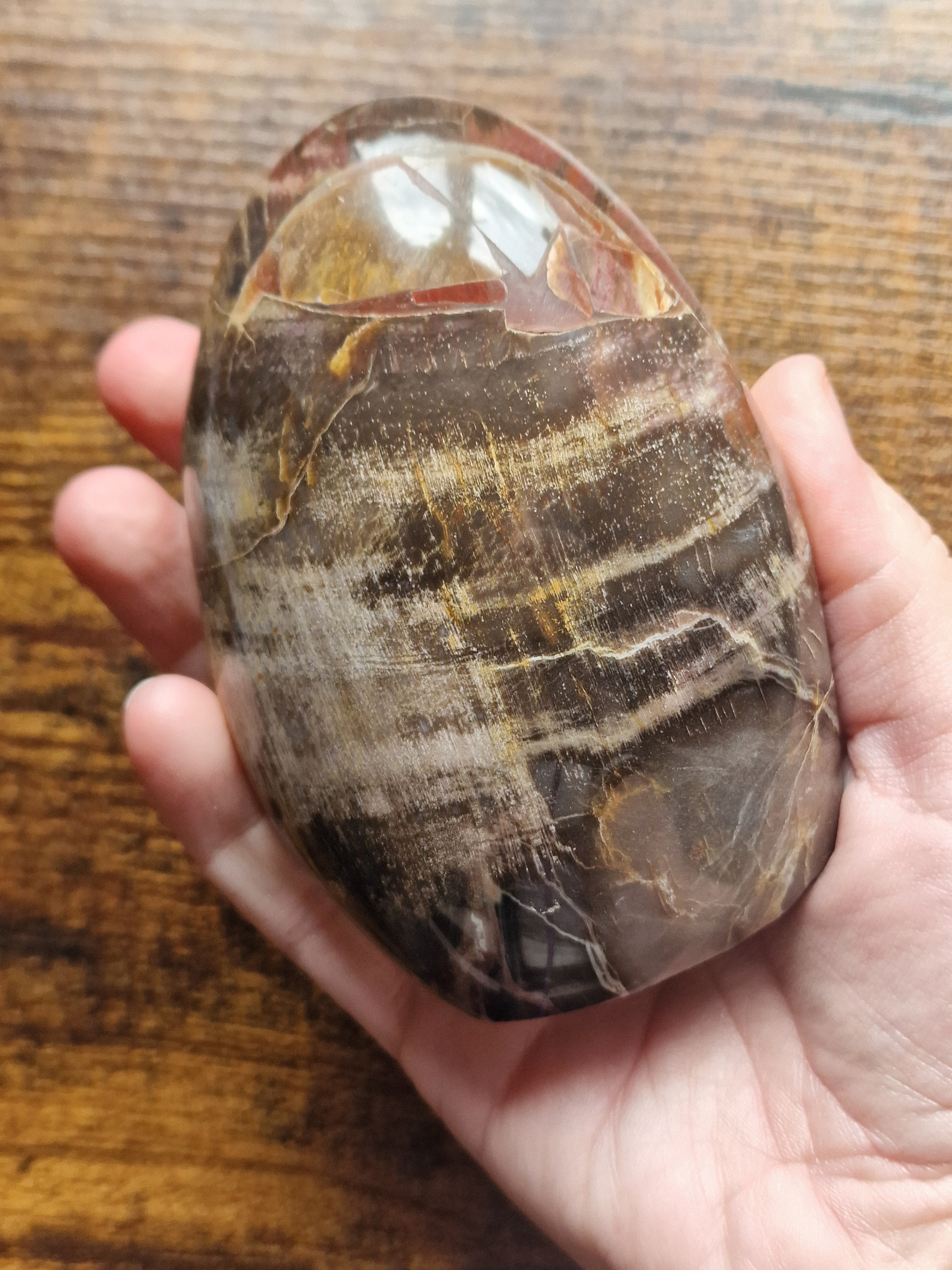 Fossilised Wood Freeforms