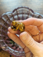 Mini Carving from the Jar of Signs