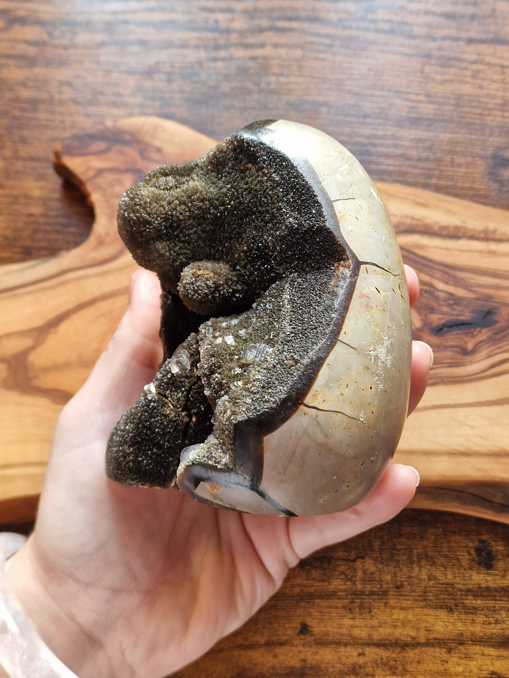 Septarian Freeform