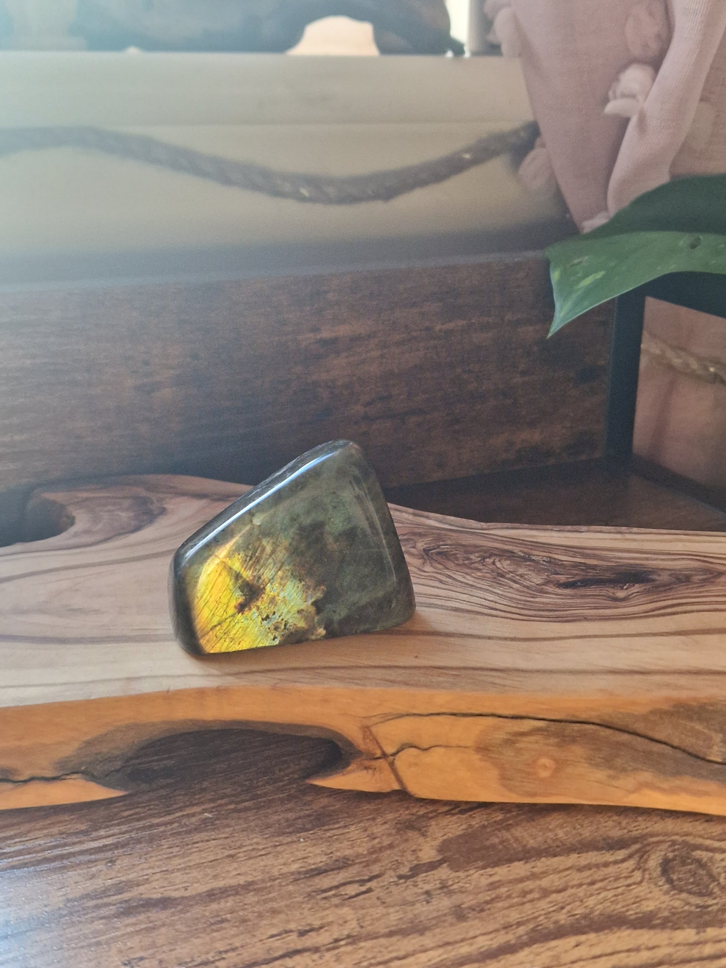 Labradorite freeforms ~ choose your own