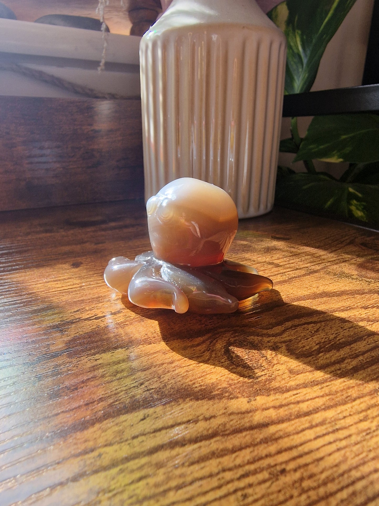 Banded Agate Octopus (5~6cm)
