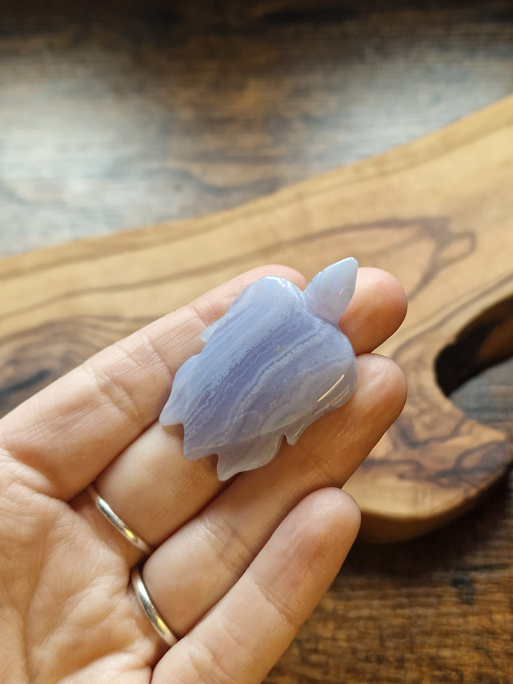 Blue Lace Agate Turtle Carving