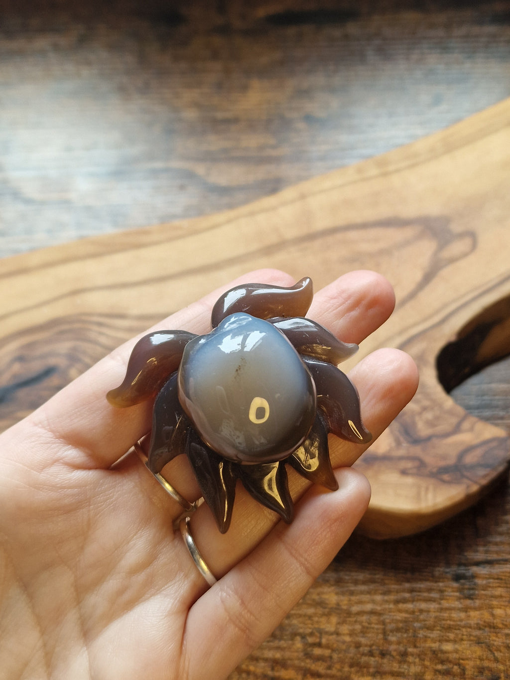 Banded Agate Octopus Carving