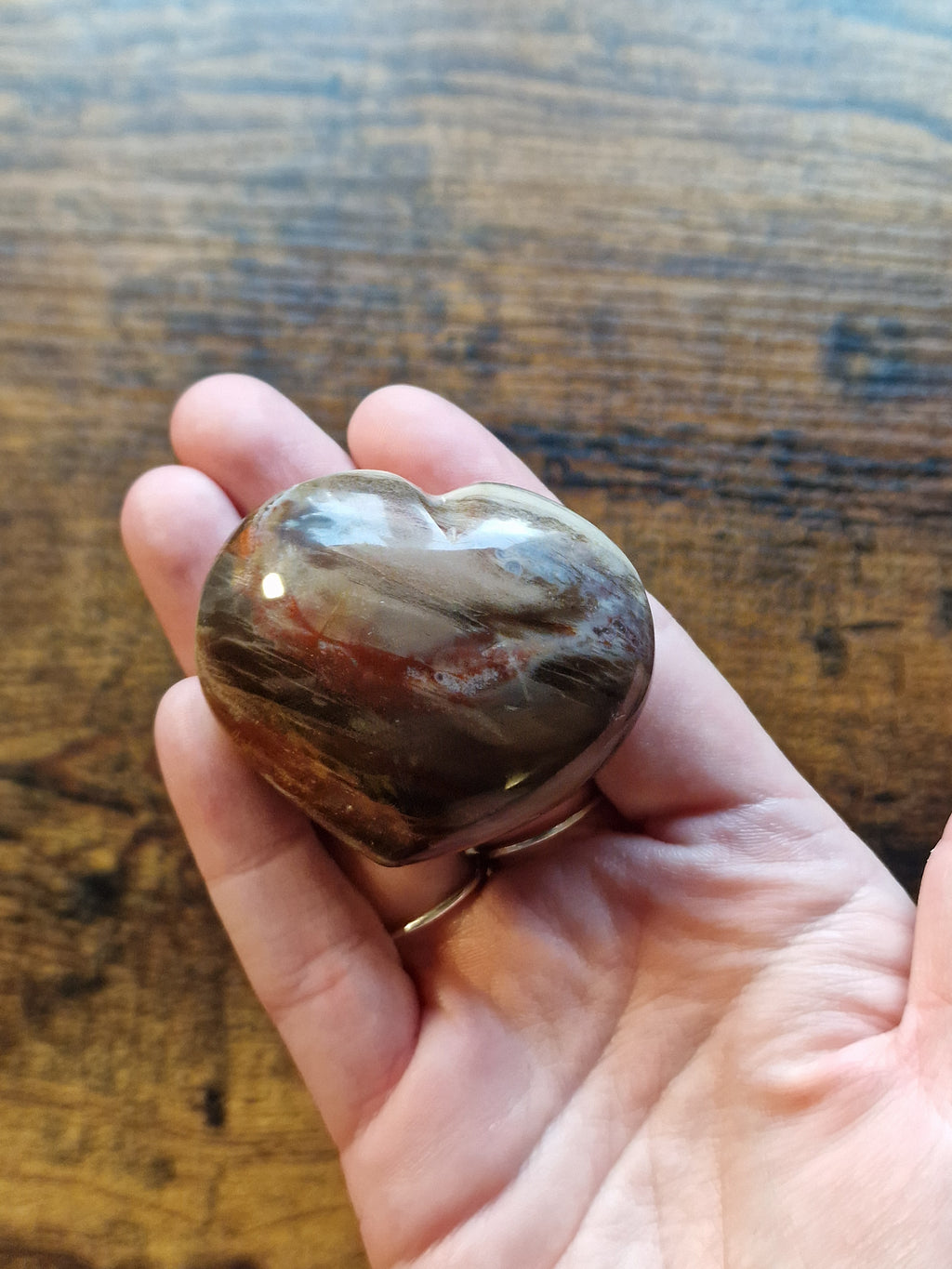 Fossilised Wood Hearts • Pick your own