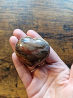 Fossilised Wood Hearts • Pick your own