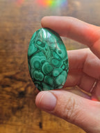 Mini Malachite Freeforms