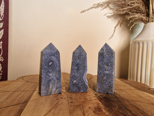 Blue Coral Tower 🌊 (Intuitively Chosen)