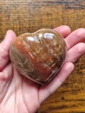 Fossilised Wood Heart