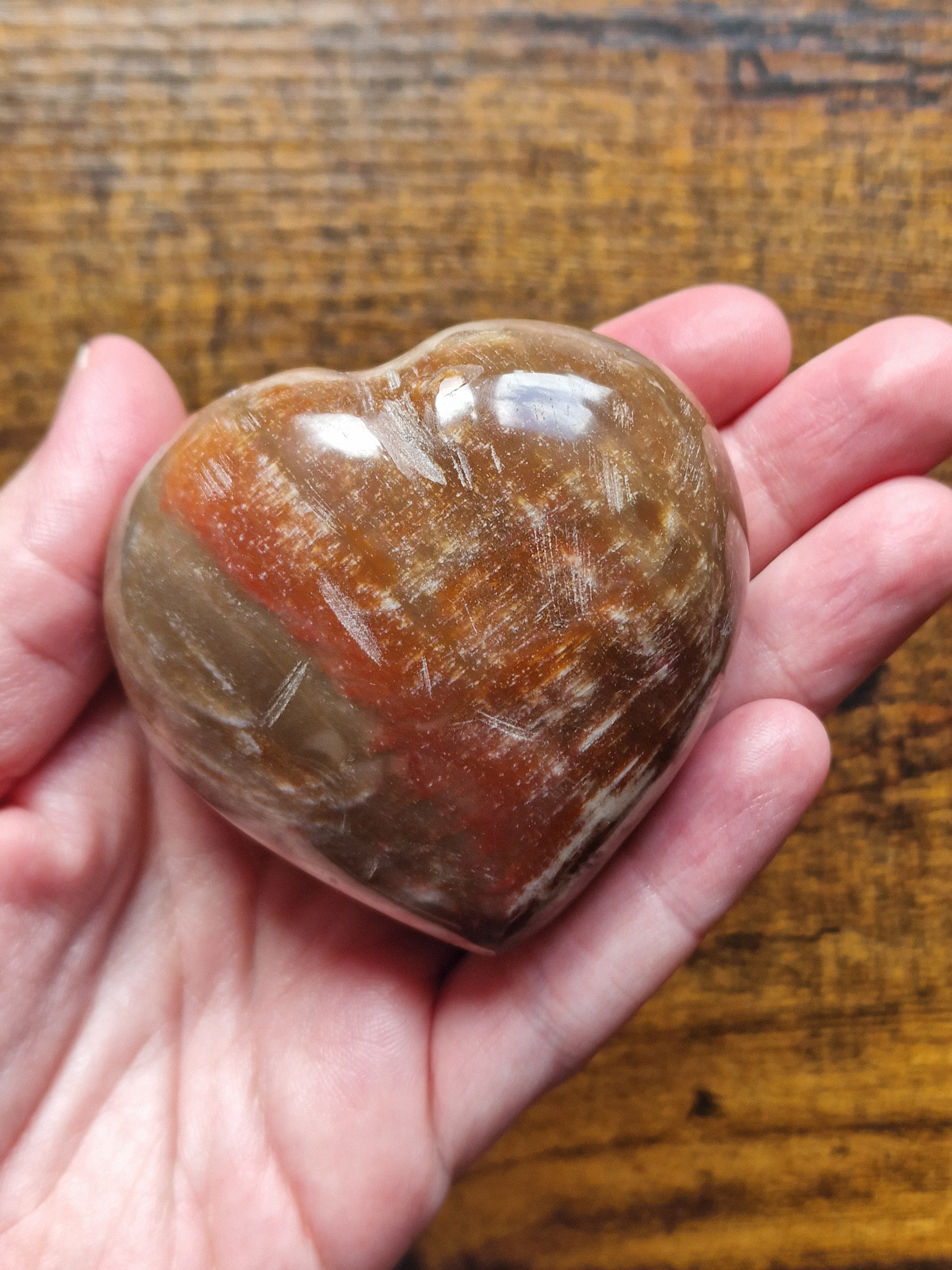 Fossilised Wood Heart