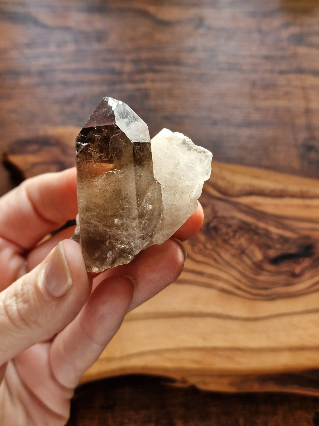 Smoky Quartz Cluster