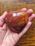 Fossilised Wood Heart