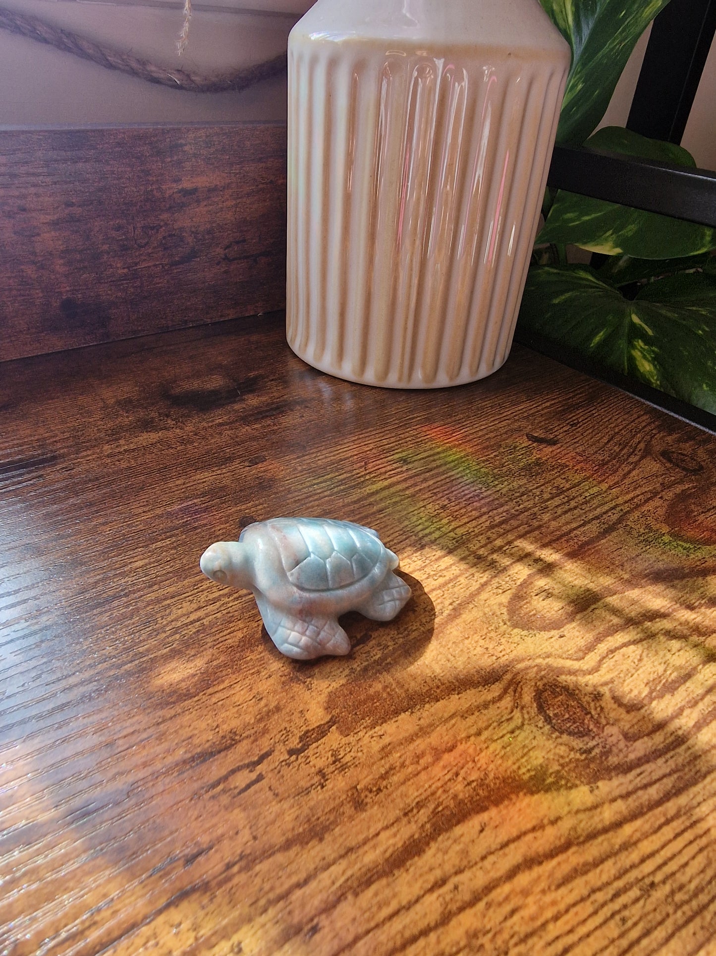 Caribbean Calcite Turtle (~5cm)