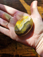 Bumblebee Jasper Palm Stones | Pick Your Own