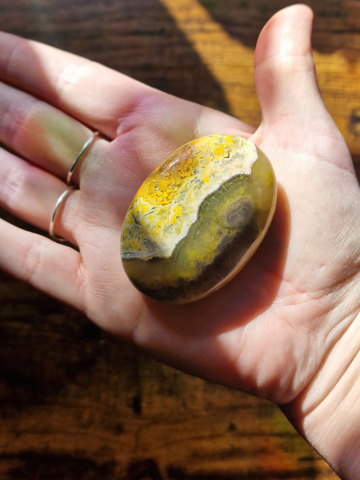 Bumblebee Jasper Palm Stones | Pick Your Own