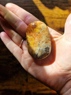 Crazy Lace Agate Palm Stones | Pick Your Own